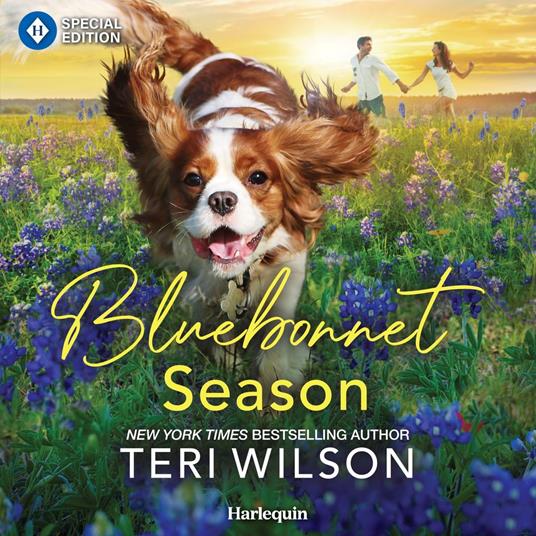 Bluebonnet Season