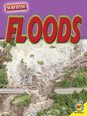 Floods - Marne Ventura - cover