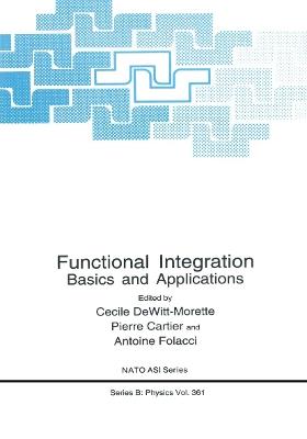 Functional Integration: Basics and Applications - cover