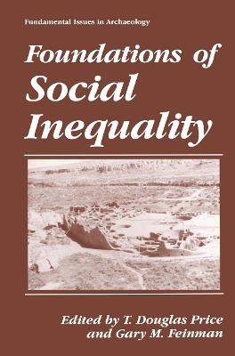 Foundations of Social Inequality - cover