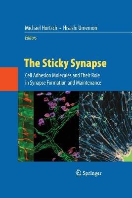 The Sticky Synapse: Cell Adhesion Molecules and Their Role in Synapse Formation and Maintenance - cover