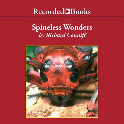 Spineless Wonders