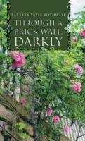 Through a Brick Wall, Darkly - Barbara Yates Rothwell - cover