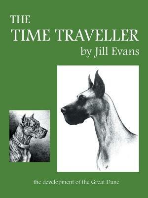 The Time Traveller - Jill Evans - cover