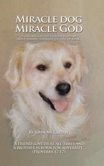 Miracle Dog Miracle God: What God the Father taught me about Himself through the love of a dog