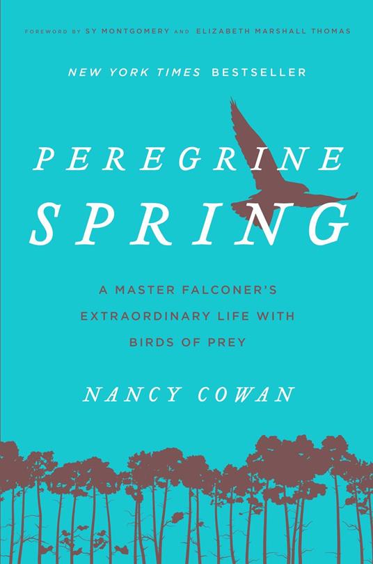 Peregrine Spring