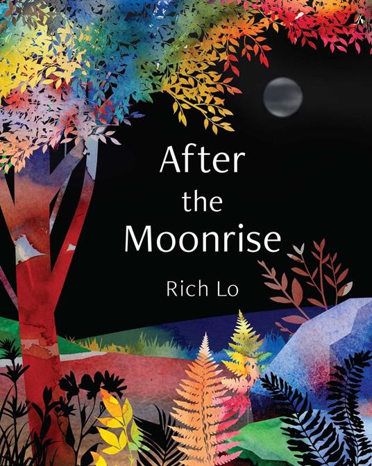 After the Moonrise - Richard Lo - ebook