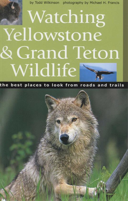 Watching Yellowstone and Grand Teton Wildlife