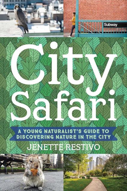 City Safari - Jenette Restivo - ebook