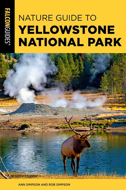 Nature Guide to Yellowstone National Park