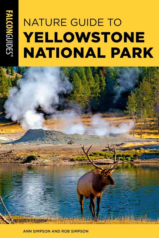 Nature Guide to Yellowstone National Park