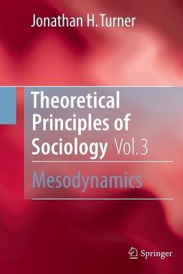 Theoretical Principles of Sociology, Volume 3: Mesodynamics - Jonathan H. Turner - cover