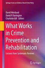 What Works in Crime Prevention and Rehabilitation