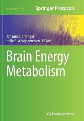 Brain Energy Metabolism - cover