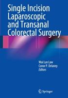 Single Incision Laparoscopic and Transanal Colorectal Surgery - cover