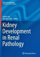 Kidney Development in Renal Pathology - cover