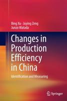 Changes in Production Efficiency in China: Identification and Measuring - Bing Xu,Juying Zeng,Junzo Watada - cover