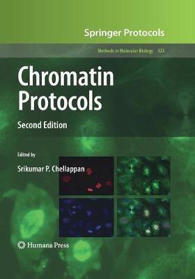 Chromatin Protocols - cover