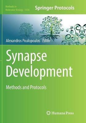 Synapse Development: Methods and Protocols - cover