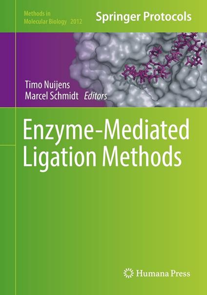 Enzyme-Mediated Ligation Methods