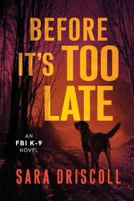 Before It's Too Late - Sara Driscoll - cover