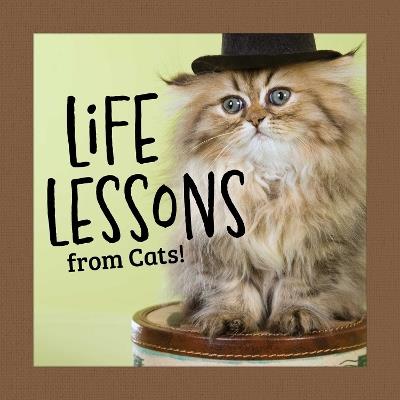 Life Lessons from Cats - Grace Peterson - cover