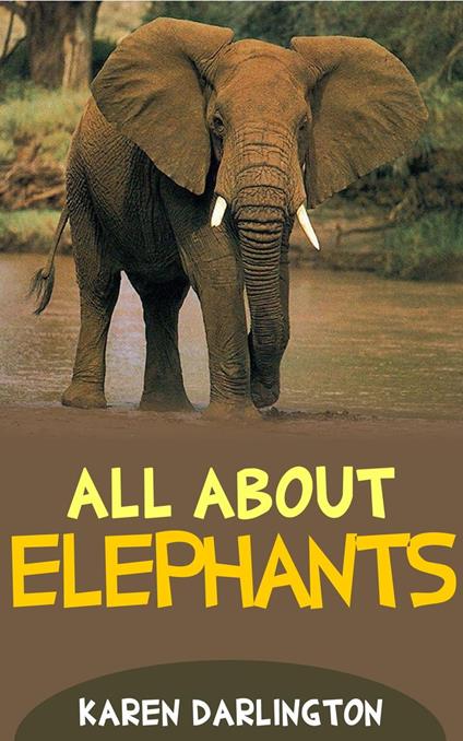 All About Elephants - Karen Darlington - ebook