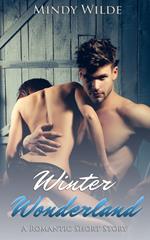 Winter Wonderland (A Romantic Short Story)
