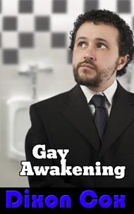 Gay Awakening