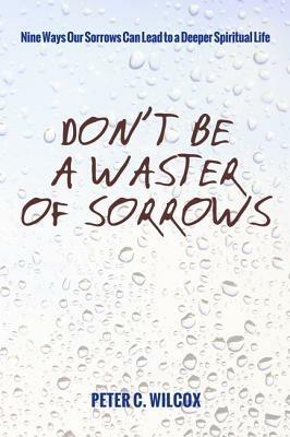 Don't Be a Waster of Sorrows - Peter C Std Wilcox - cover