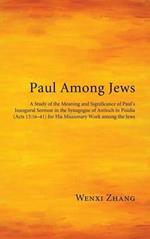 Paul Among Jews: A Study of the Meaning and Significance of Paul's Inaugural Sermon in the Synagogue of Antioch in Pisidia (Acts 13:16-41) for His Missionary Work Among the Jews