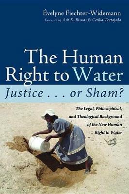 The Human Right to Water: Justice . . . or Sham? - Evelyne Fiechter-Widemann - cover
