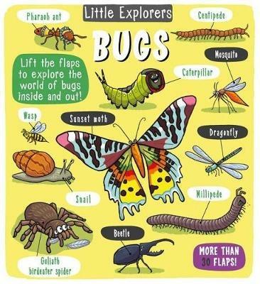 Little Explorers: Bugs - Little Bee Books - cover