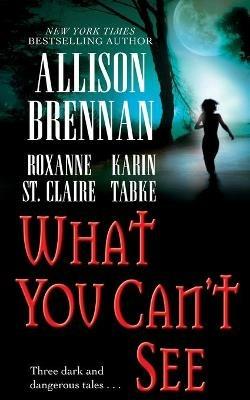 What You Can't See - Allison Brennan,Karin Tabke,Roxanne St Claire - cover