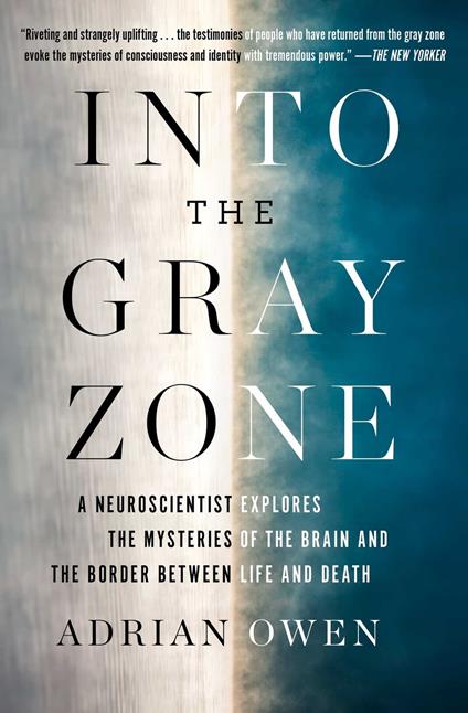 Into the Gray Zone