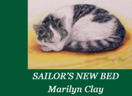 Sailor's New Bed