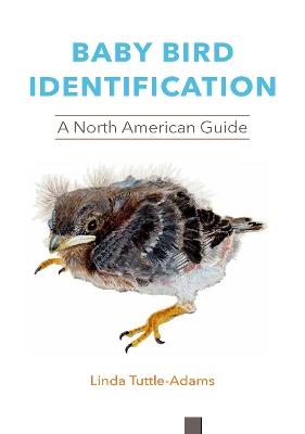 Baby Bird Identification: A North American Guide - Linda Tuttle-Adams - cover
