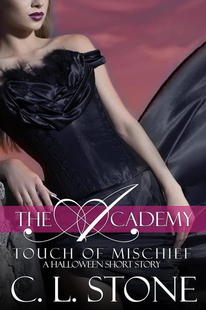 The Academy - Touch of Mischief - C. L. Stone - ebook