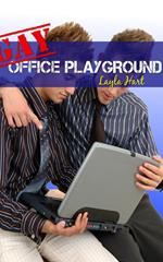 Gay Office Playground