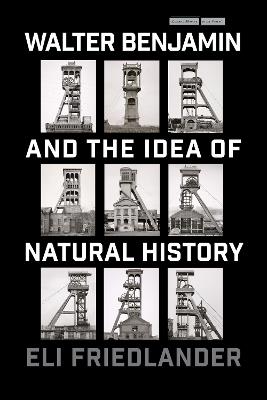 Walter Benjamin and the Idea of Natural History - Eli Friedlander - cover