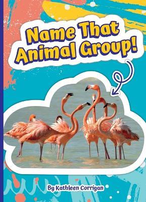 Name That Animal Group! - Kathleen Corrigan - cover