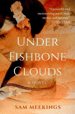 Under Fishbone Clouds - Sam Meekings - cover