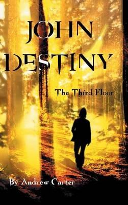John Destiny: The Third Floor - Andrew Carter - cover