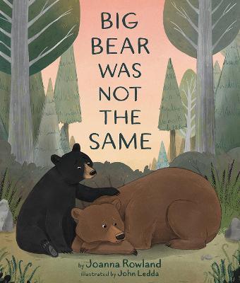 Big Bear Was Not the Same - Joanna Rowland - cover