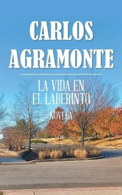 La Vida En El Laberinto - Carlos Agramonte - cover