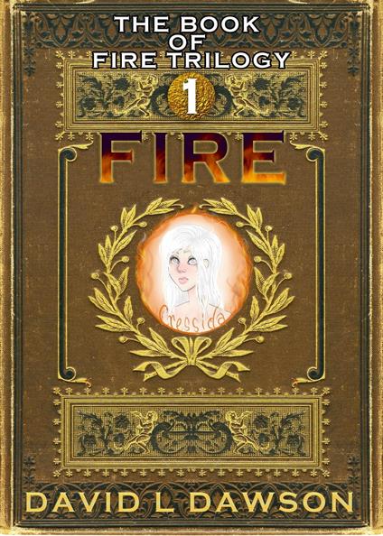 Fire - David Dawson - ebook