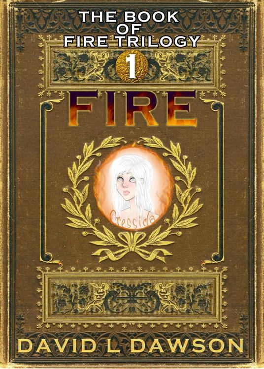 Fire - David Dawson - ebook