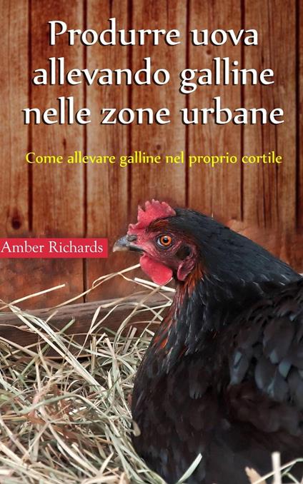 Produrre uova allevando galline nelle zone urbane - Amber Richards - ebook
