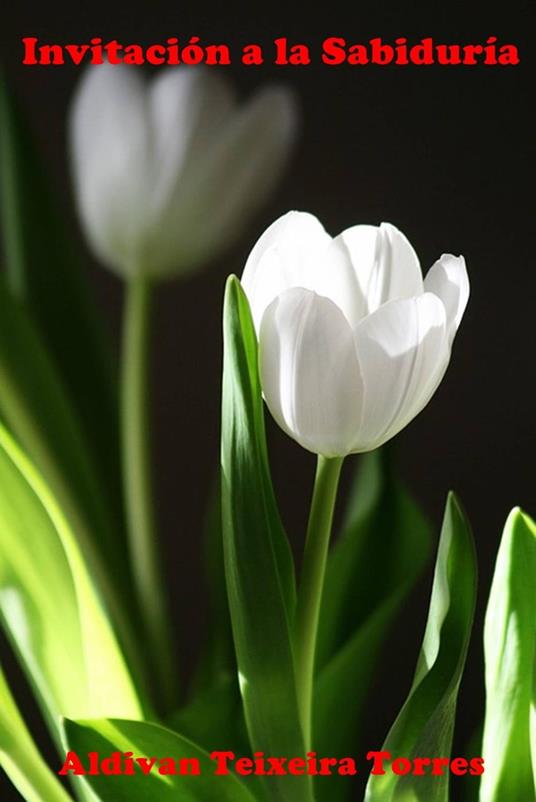 Invitación a la Sabiduría