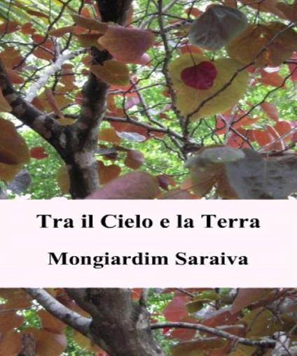 Tra il Cielo e la Terra - Mongiardim Saraiva - ebook